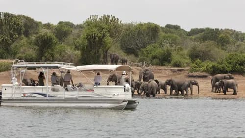 Kazinga boat