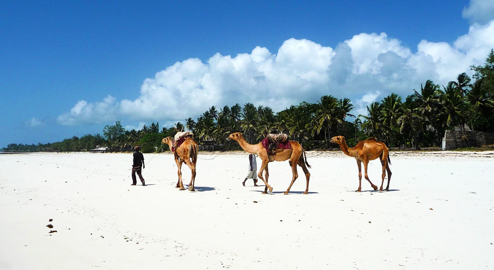 beachKenya